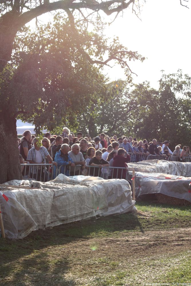 2018-09-15 Rasenmähertraktorrennen Leupolz 142